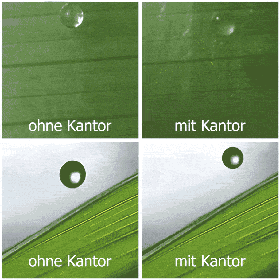 Grafik zu 