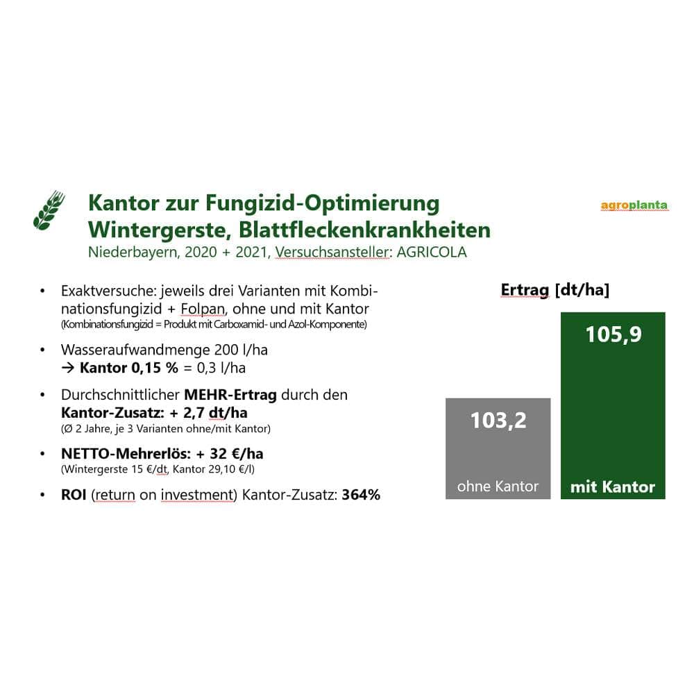 Grafik zu null