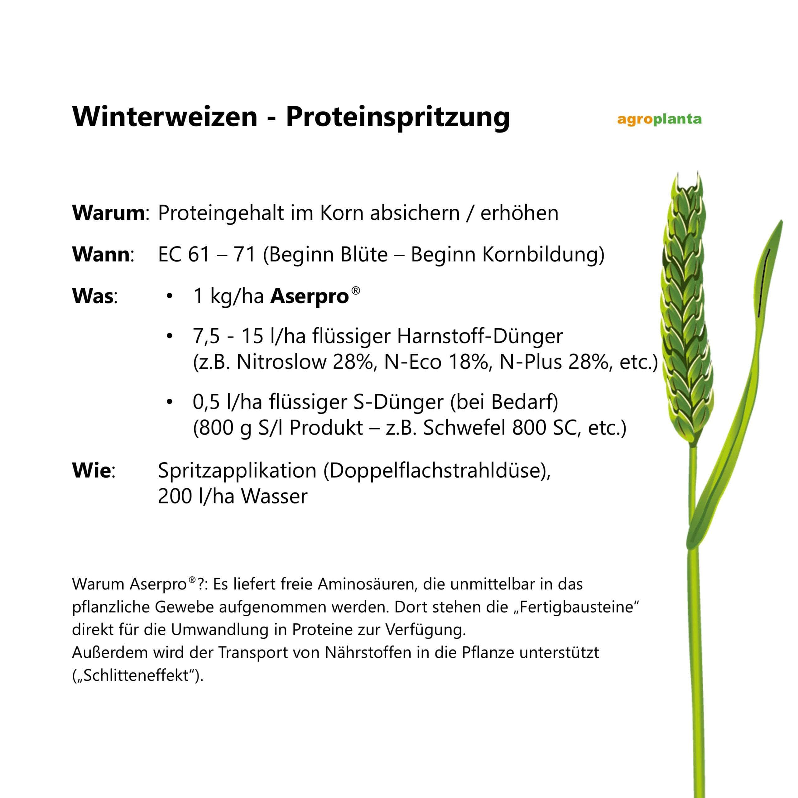 Grafik zu null