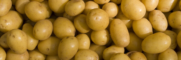 Kartoffel Keimhemmung